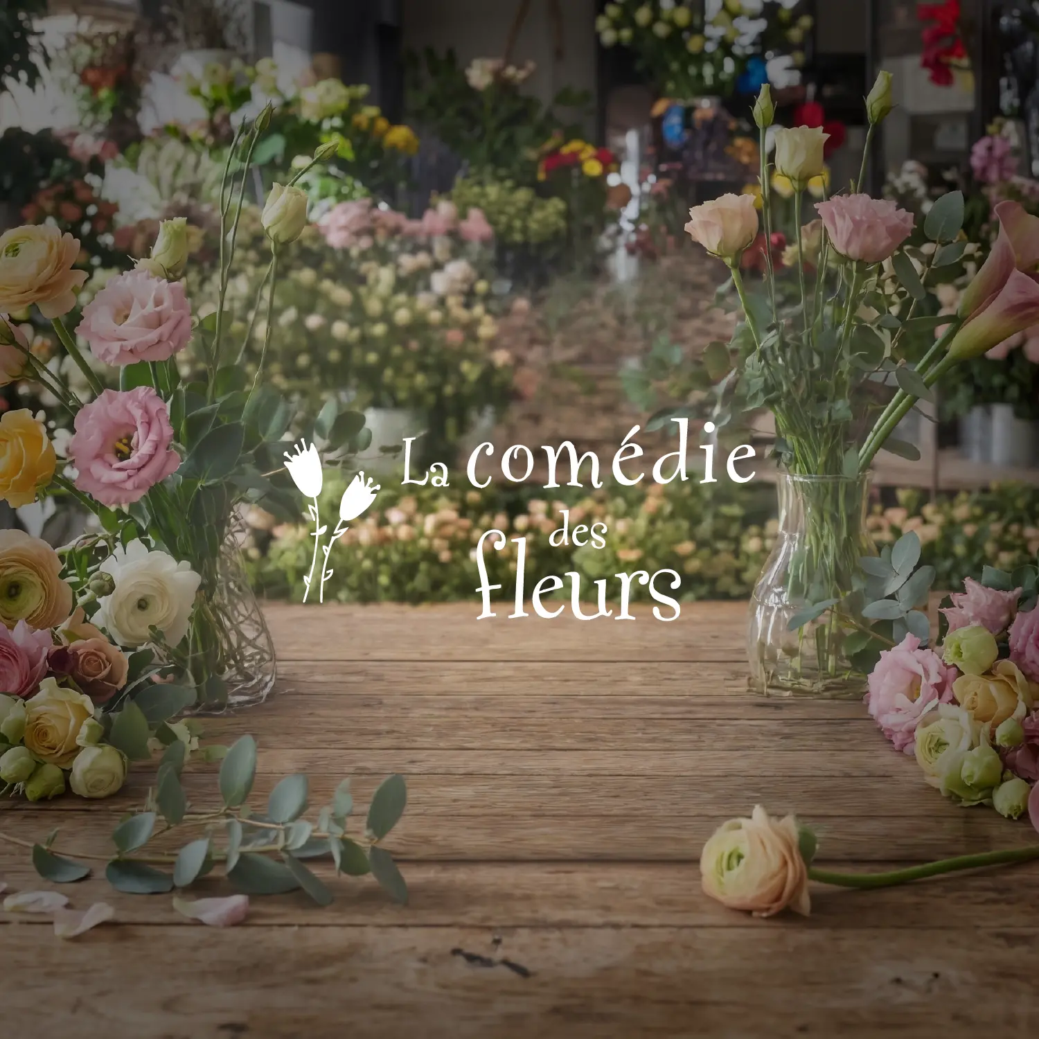 arobase-systemes-agence-communication-realisation-mockup-comedie-des-fleurs-6-epinal-vosges